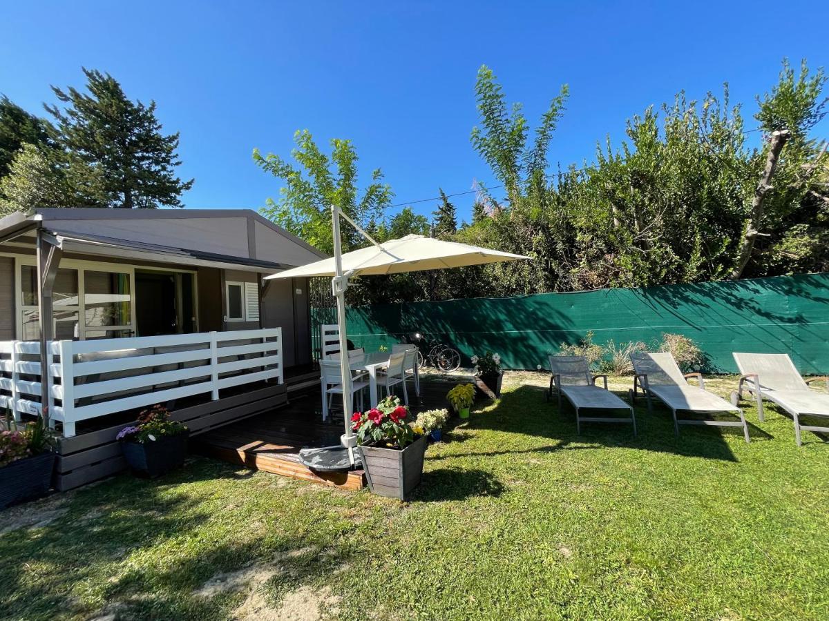 Avignon, Joli Chalet En Campagne Tres Proche De La Ville Bagian luar foto